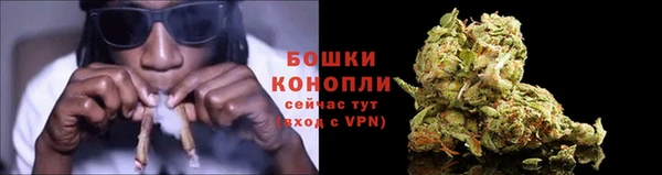 гидра Дмитриев