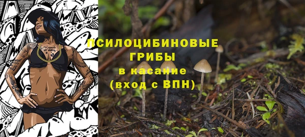 МДПВ Дмитров