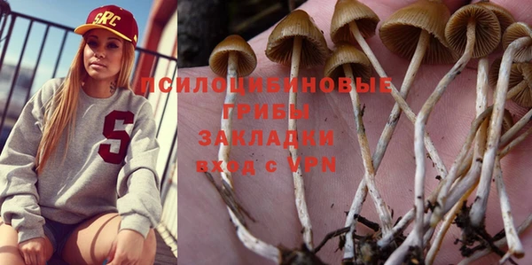 героин Ельня