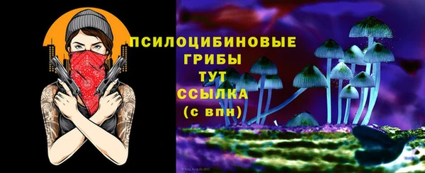 МДПВ Дмитров