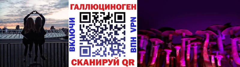 Псилоцибиновые грибы Psilocybe  Купить закладки  Кингисепп 