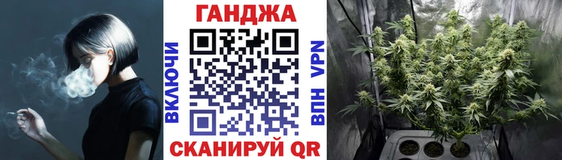 Конопля ГИДРОПОН Кингисепп